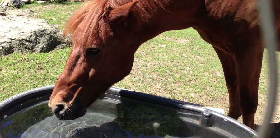 Chance – read more